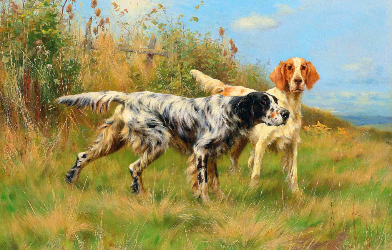 Photo wallpaper grass, dog, picture, two, setter, Thomas Blinks, Setters, Thomas Blinks