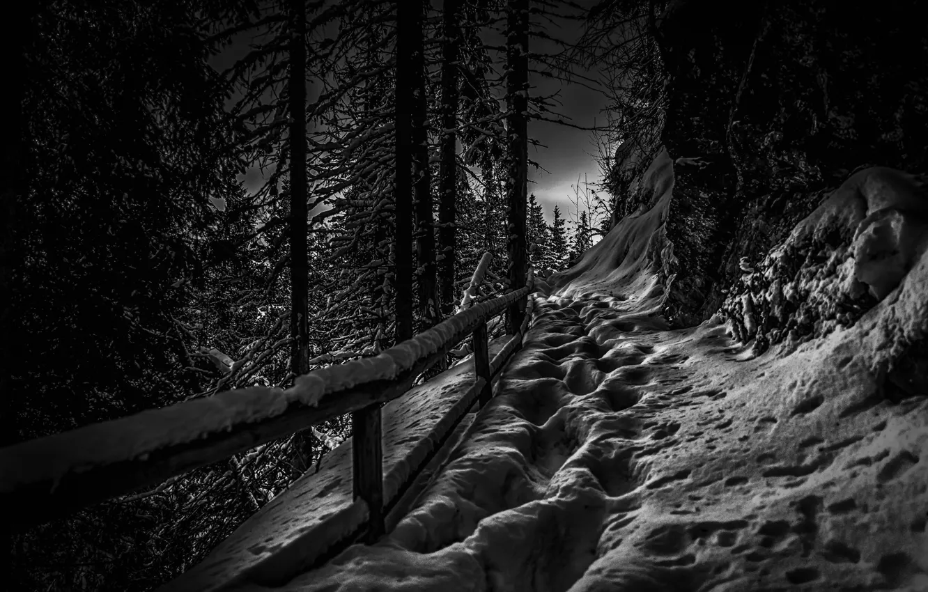 Photo wallpaper winter, snow, Austria, Tyrol