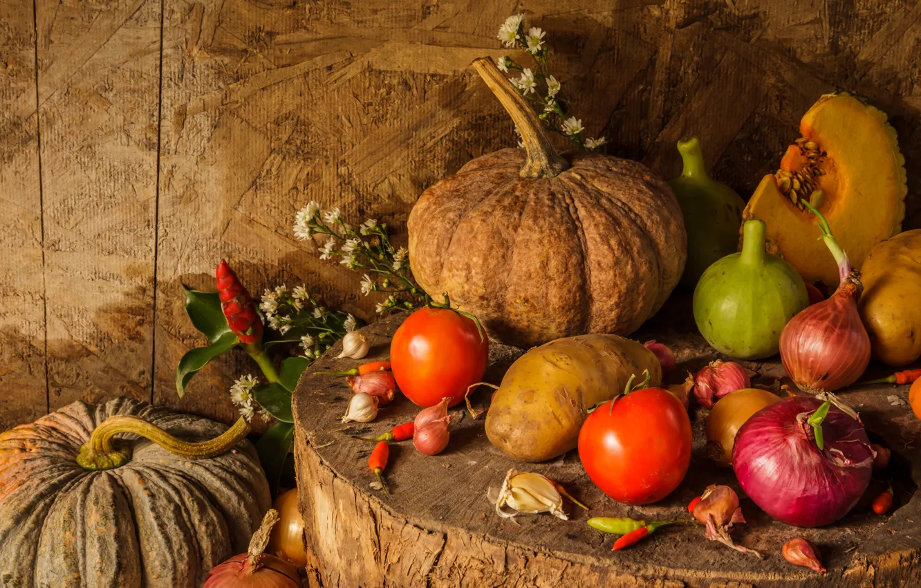 Photo wallpaper flowers, harvest, pumpkin, fruit, still life, vegetables, autumn, still life