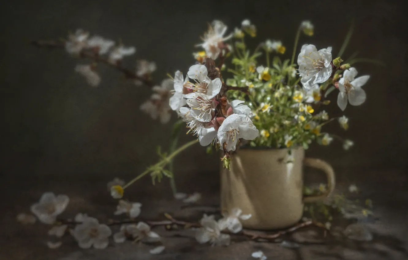 Photo wallpaper flowers, branches, cherry, mug, still life, Vladimir Volodin