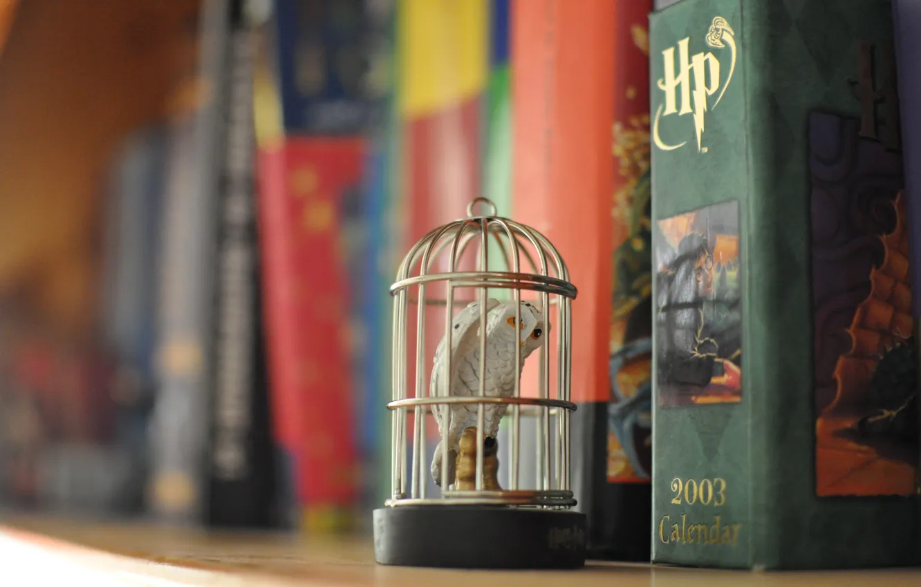 Photo wallpaper owl, cell, Harry Potter