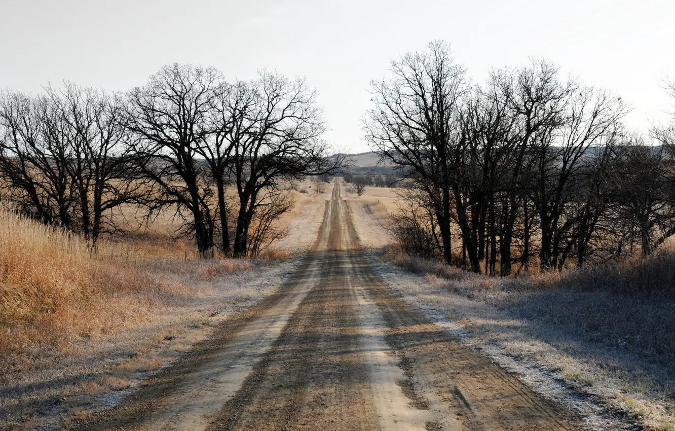 Photo wallpaper road, autumn, landscape