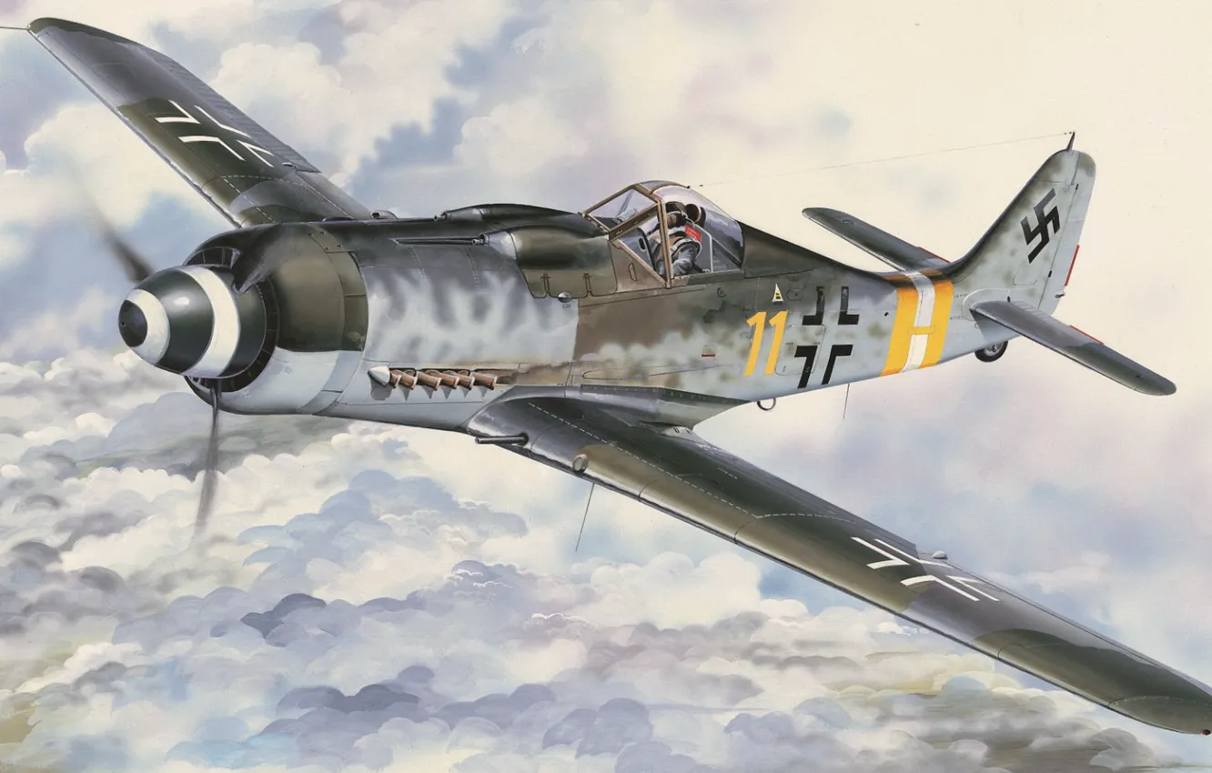 Photo wallpaper Germany, fighter-bomber, the Wehrmacht, Luftwaffe, Vlastimil Suchy, Focke-Wulf Fw190D-9