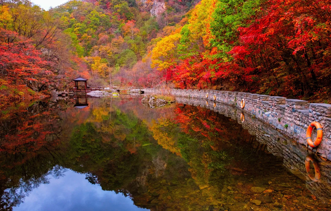 Photo wallpaper autumn, forest, trees, mountains, lake, reflection, shore, Asia