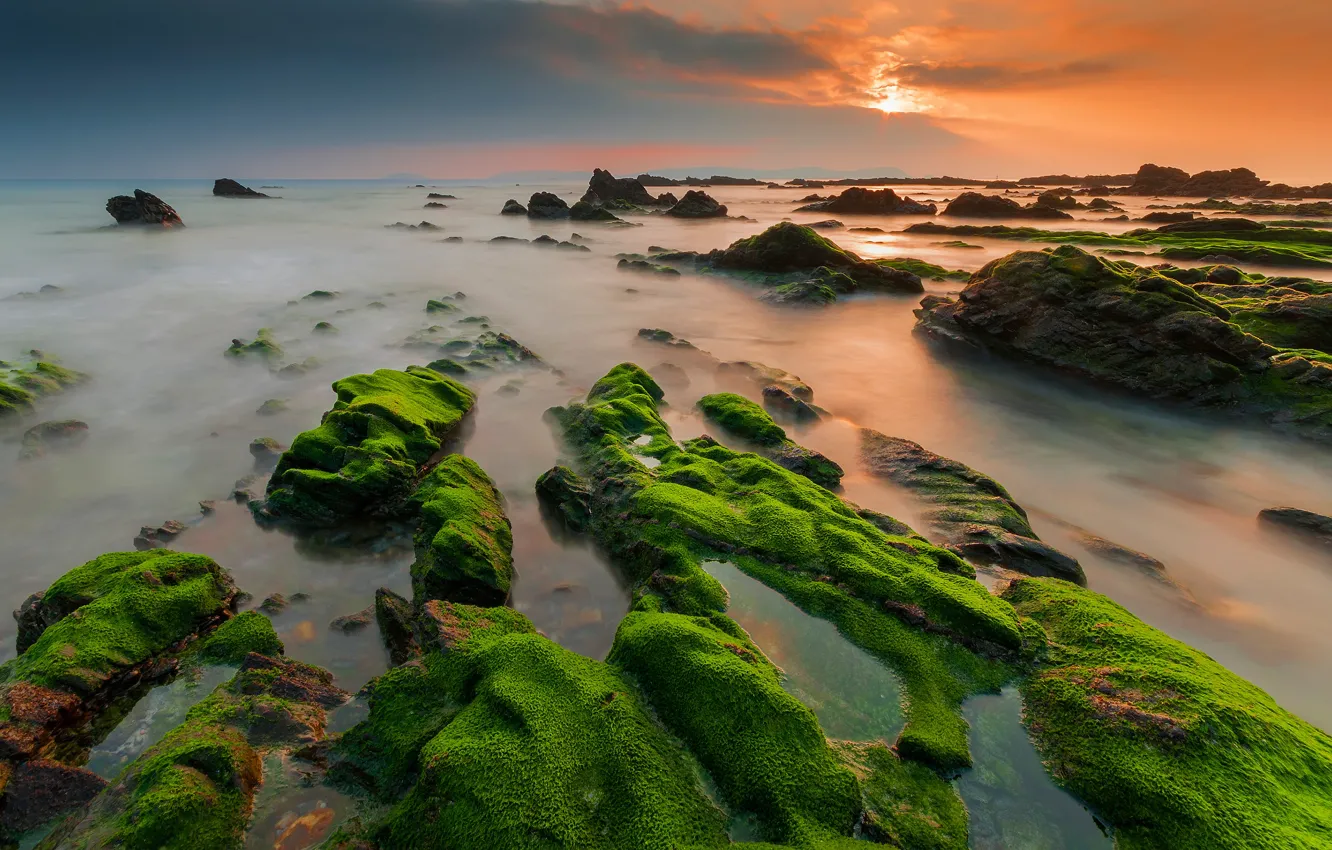 Photo wallpaper sea, the sun, algae, sunset, green, stones, shore, stone ridge