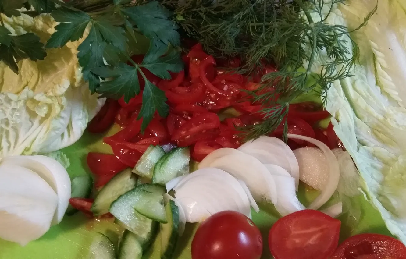 Photo wallpaper greens, bow, slices, fresh, tomatoes, salad, fresh vegetables