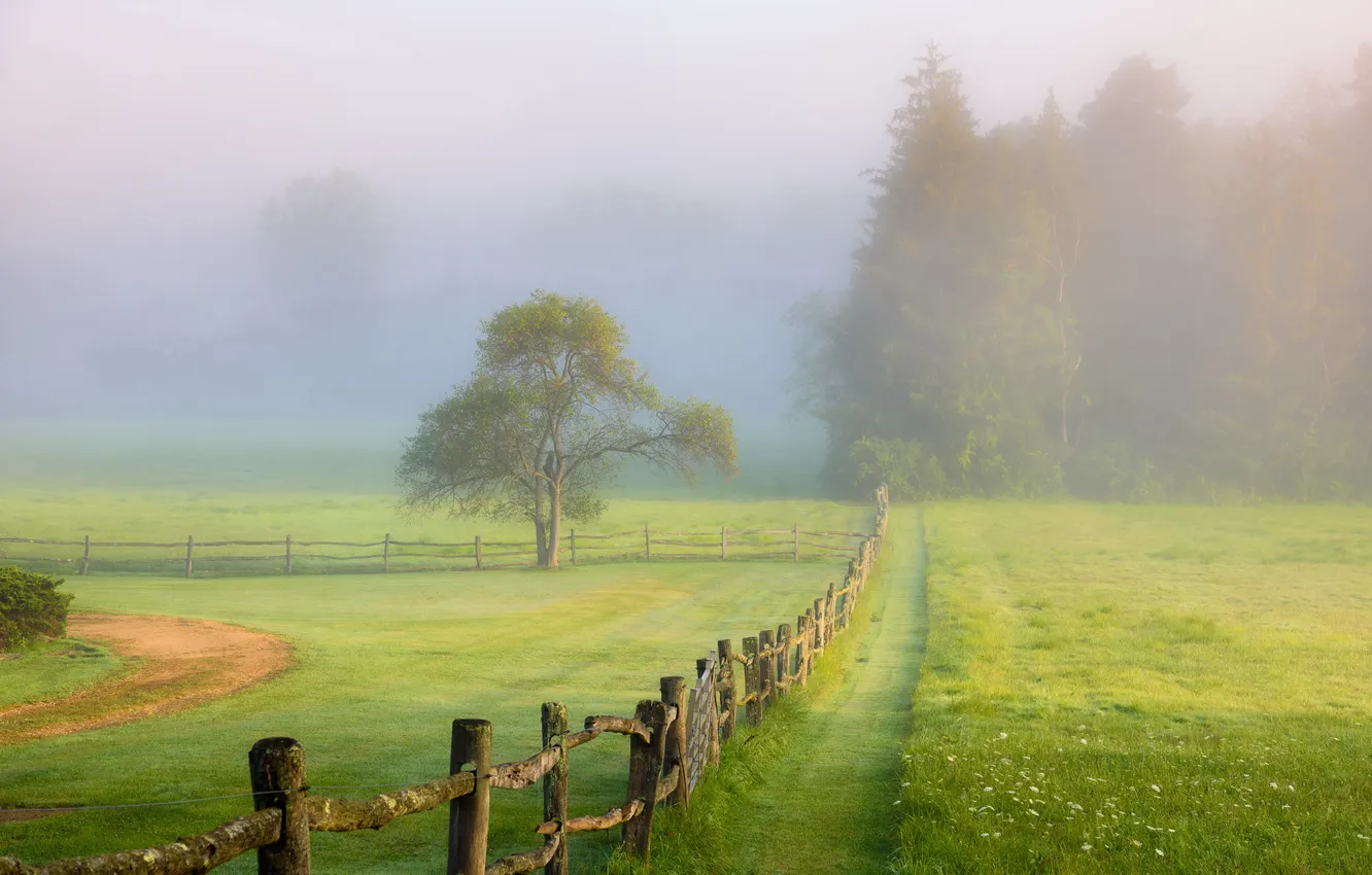 Photo wallpaper field, summer, fog, the fence