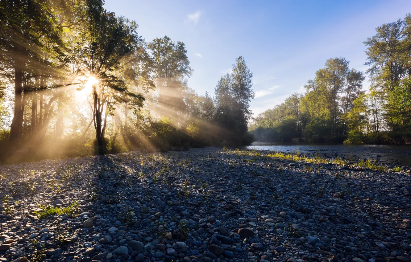 Photo wallpaper river, shore, morning