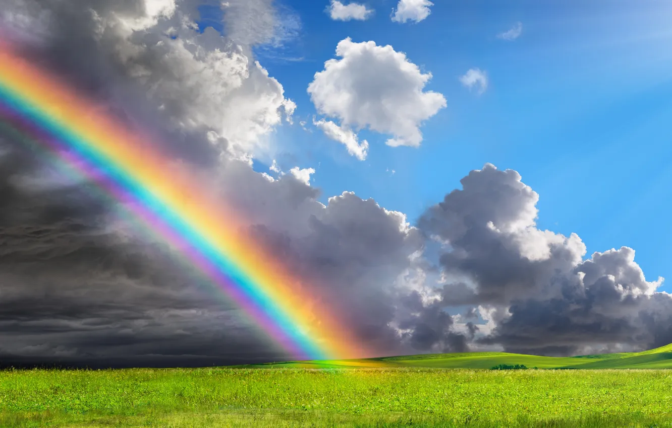Photo wallpaper field, summer, the sky, grass, the sun, rainbow, rainbow, summer