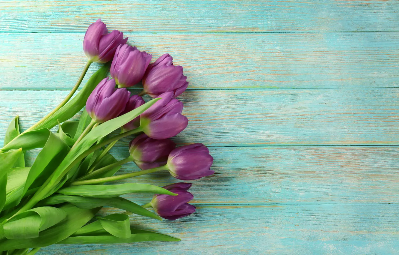 Photo wallpaper flowers, bouquet, tulips, wood, flowers, tulips, spring, purple
