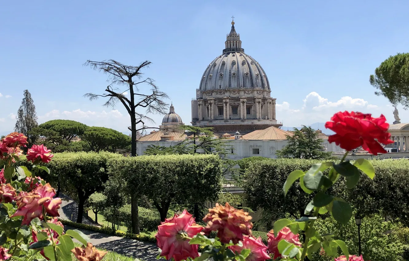 Photo wallpaper flowers, Park, The Vatican, St. Peter's Cathedral, Vatican Gardens