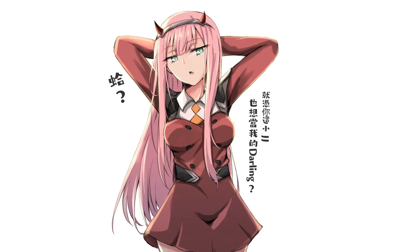 Photo wallpaper girl, 002, Darling In The Frankxx, Cute in France, Zero Two