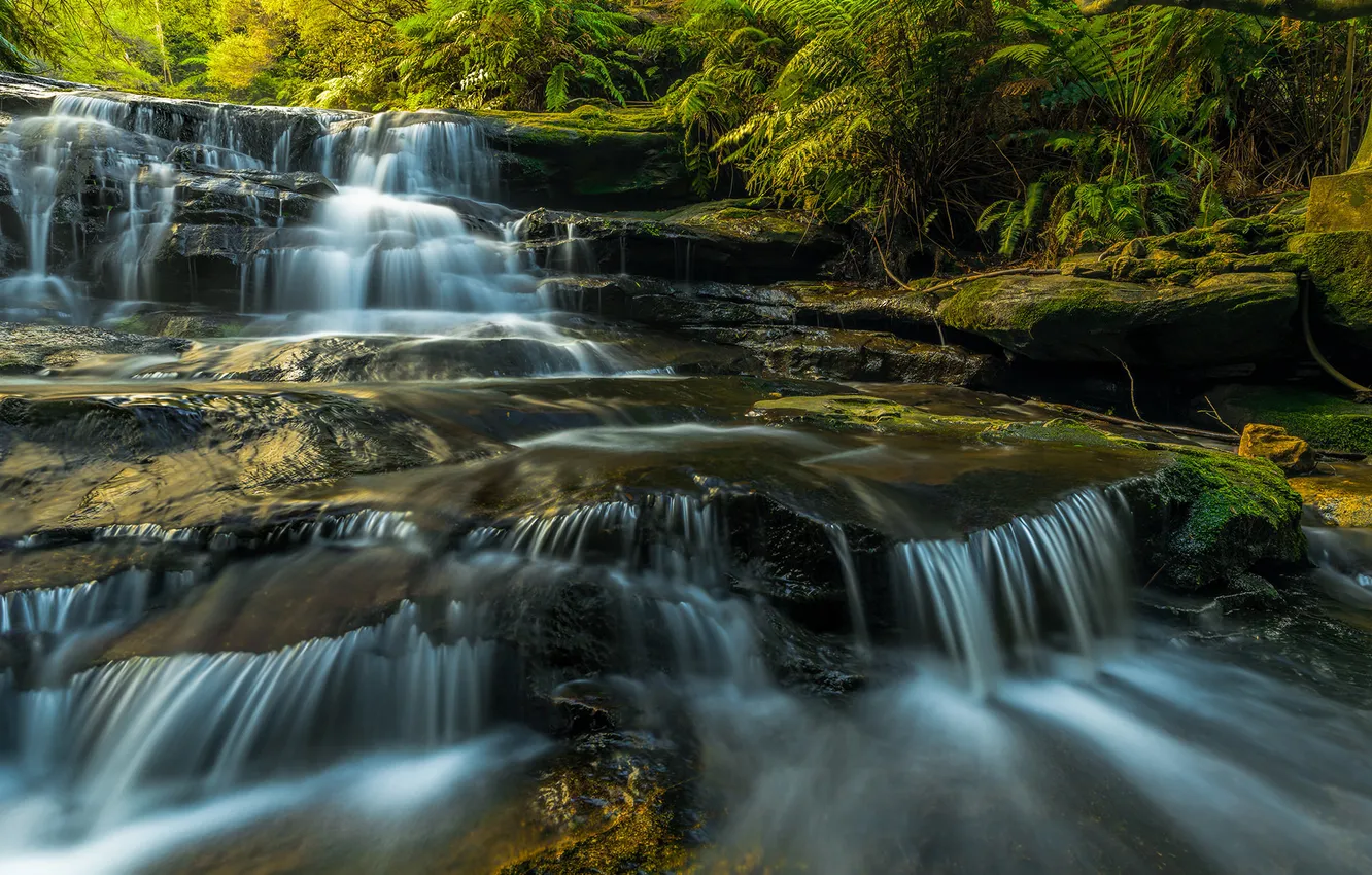 Photo wallpaper water, stones, plant, moss, cascade