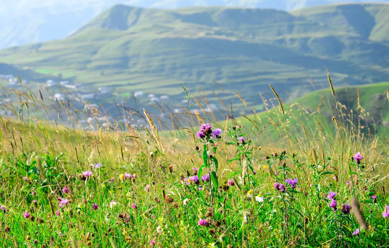Photo wallpaper summer, mountains, Dagestan, Kubachi