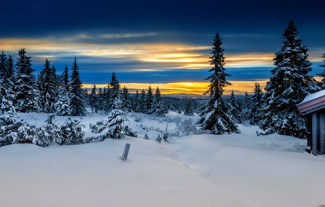 Photo wallpaper winter, forest, Norway, Lillehammer, Lillehammer