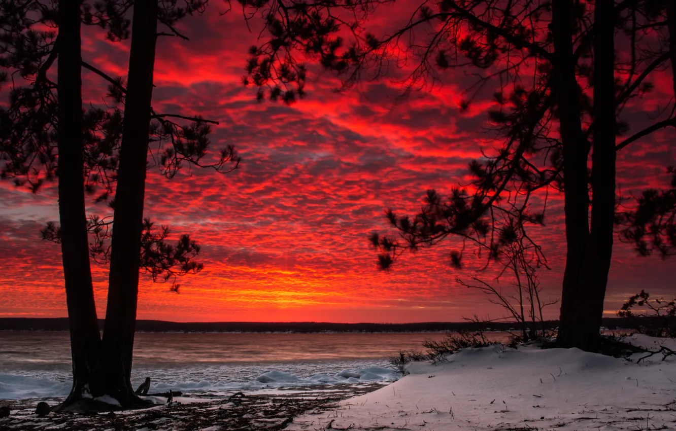Photo wallpaper winter, the sky, clouds, snow, trees, glow