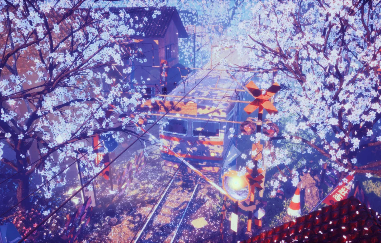 Photo wallpaper train, spring, station, Sakura