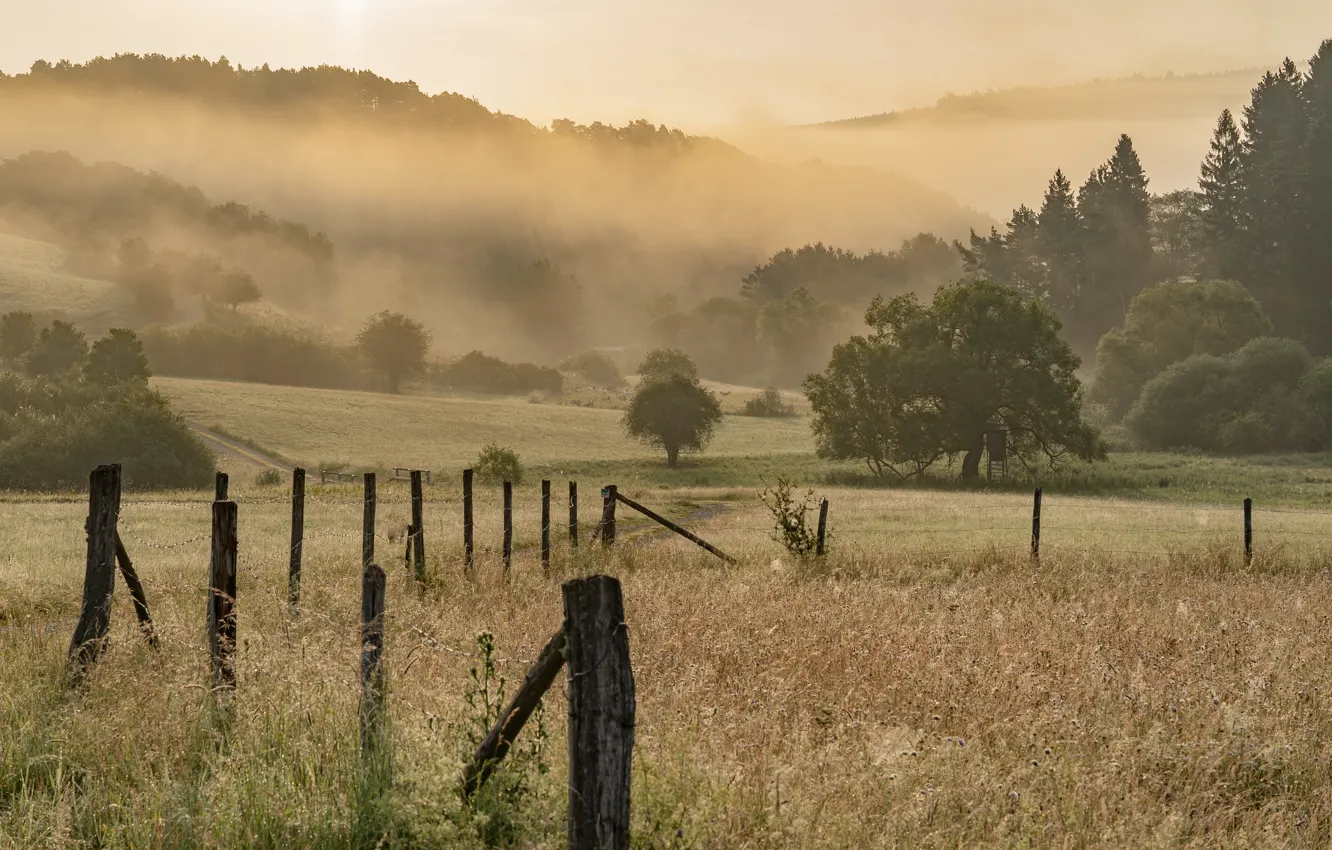 Photo wallpaper field, summer, fog, the fence