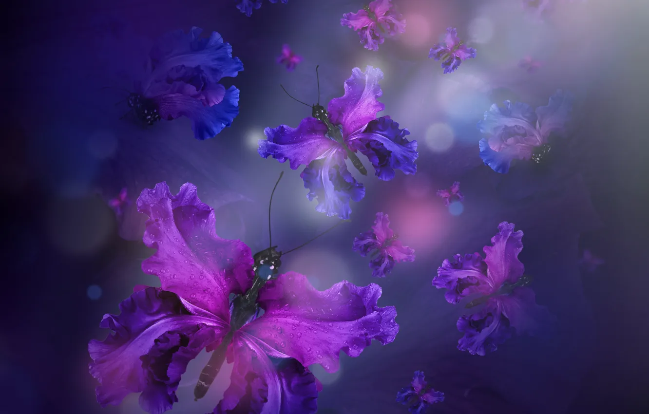 Photo wallpaper butterfly, petals, water, purple, butterflies, floral