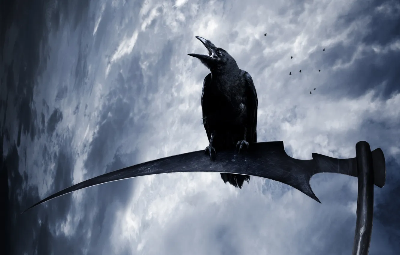 Photo wallpaper the sky, rain, dark, crows, braid, scary, crow, creepy