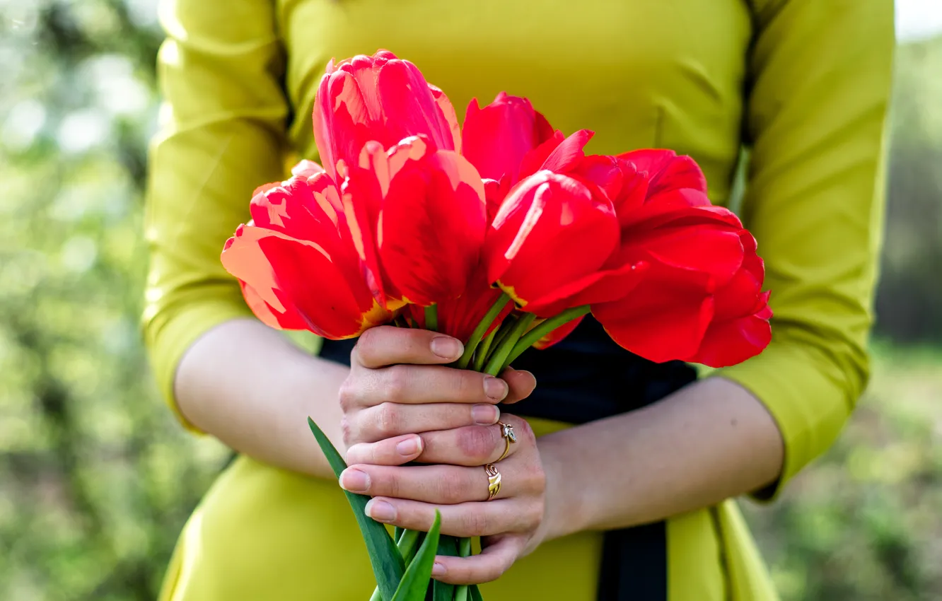 Photo wallpaper girl, flowers, spring, hands, tulips, belt, bow, details