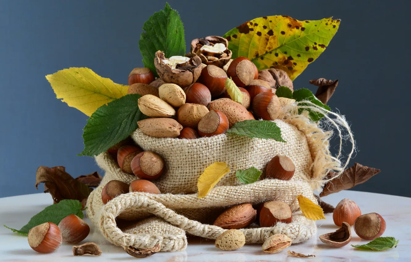 Photo wallpaper hazelnuts, a lot, composition, nuts, still life, food