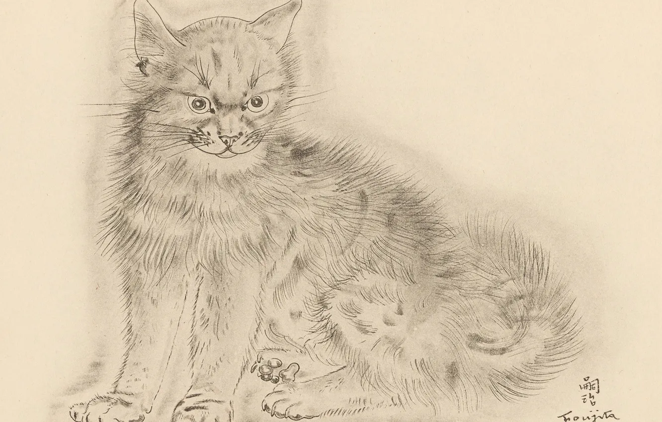 Photo wallpaper cat, grey, gloomy, 1930, Tsuguharu, Fujita, The Book Of Cats
