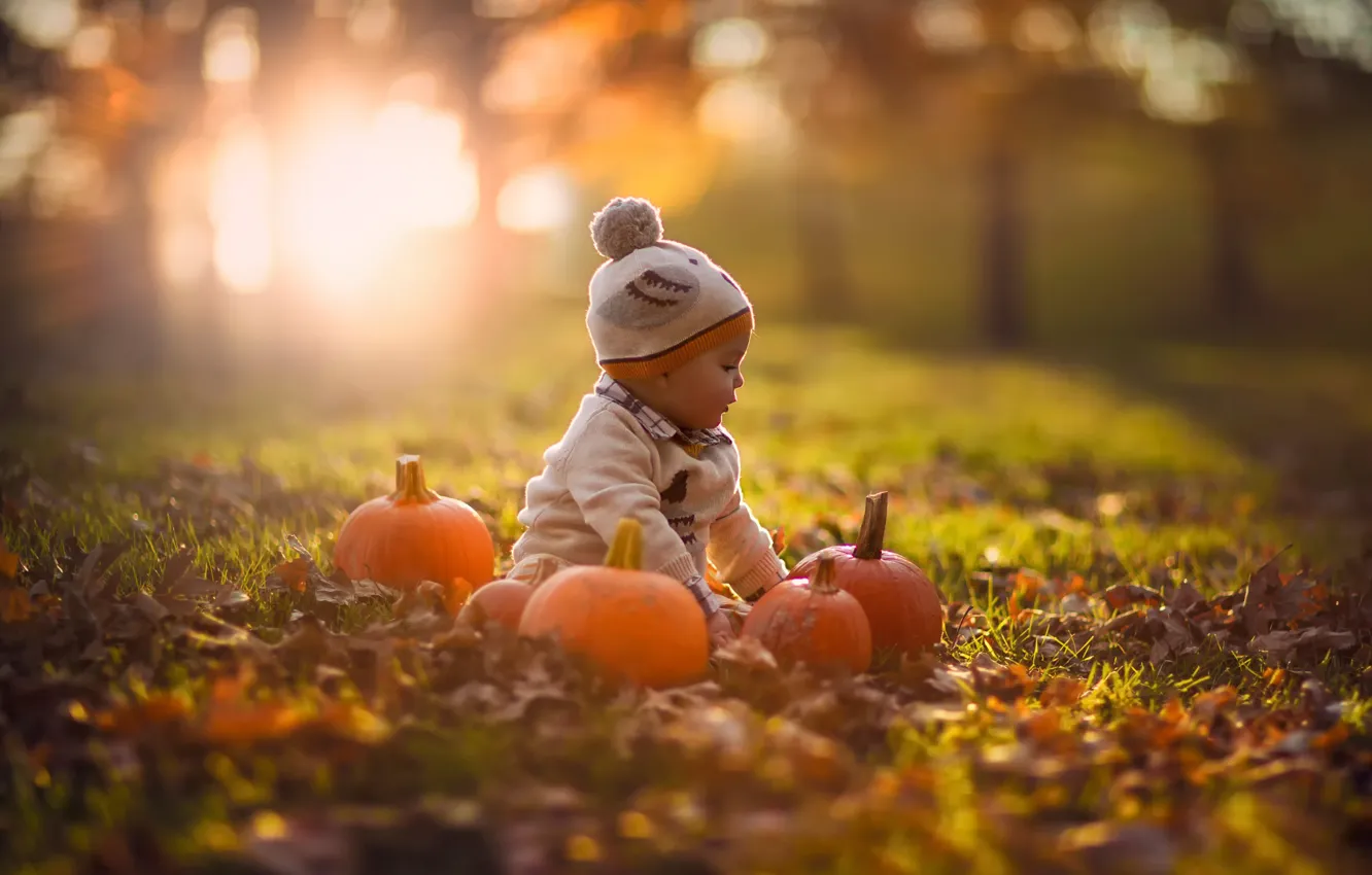 Photo wallpaper autumn, nature, pumpkin, child, bokeh