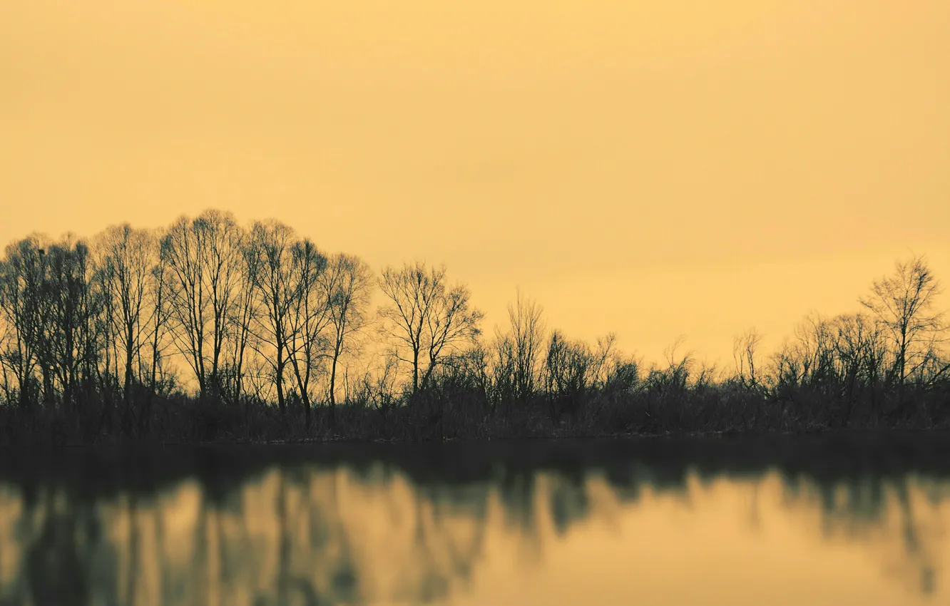 Photo wallpaper trees, lake, river, the evening, river, Klyazma, cloudy weather, spill