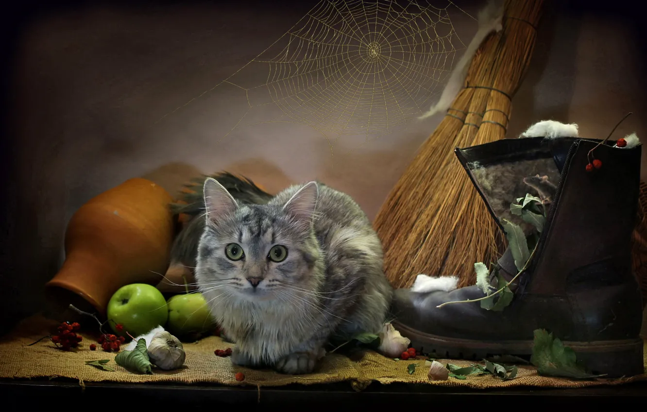 Photo wallpaper cat, cat, leaves, animal, apples, web, mouse, burlap