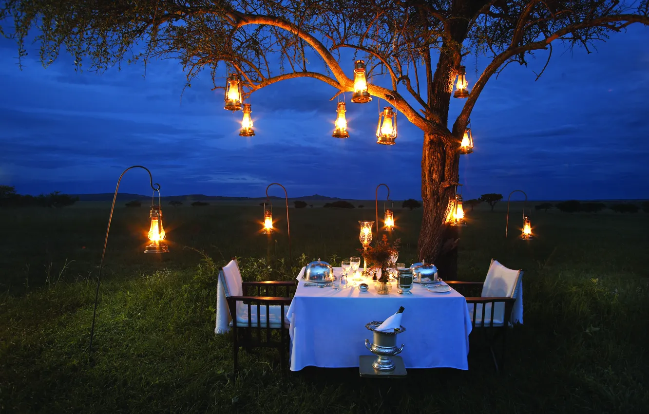 Photo wallpaper lamp, romance, the evening, Savannah, Africa, champagne, romantic, dinner