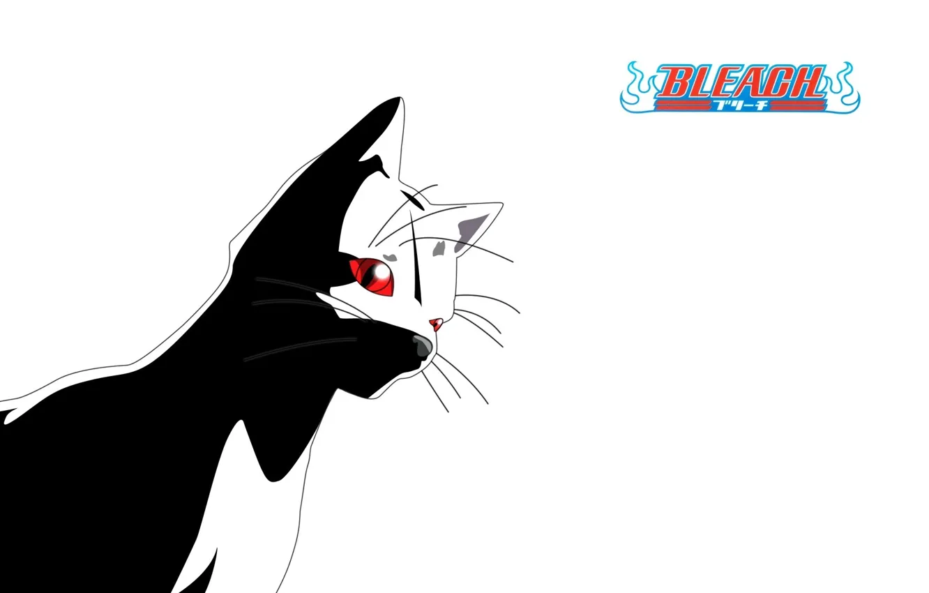 Photo wallpaper mustache, white background, Bleach, red eyes, Bleach, Shihouin Yoruichi, cat ears, black cat