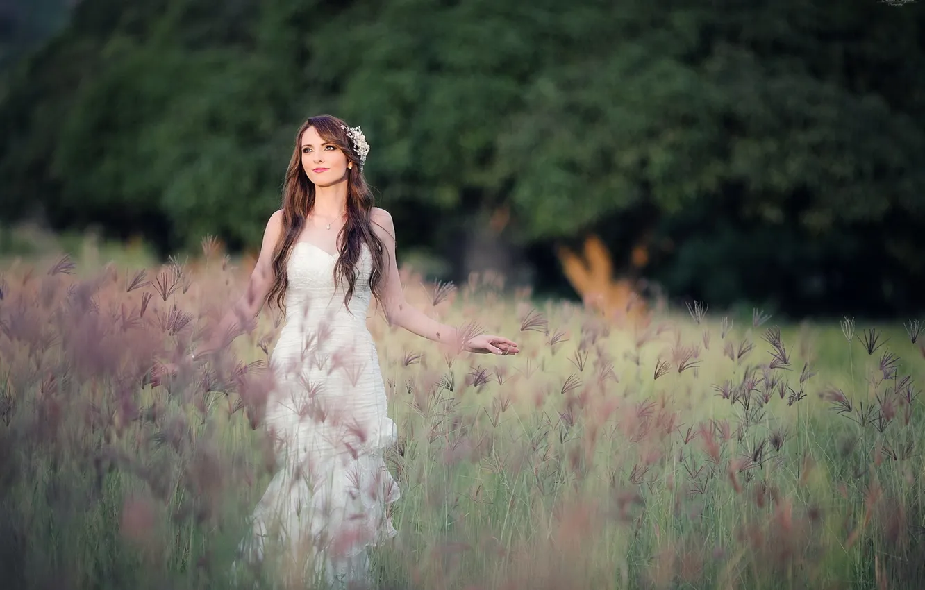 Photo wallpaper field, summer, girl