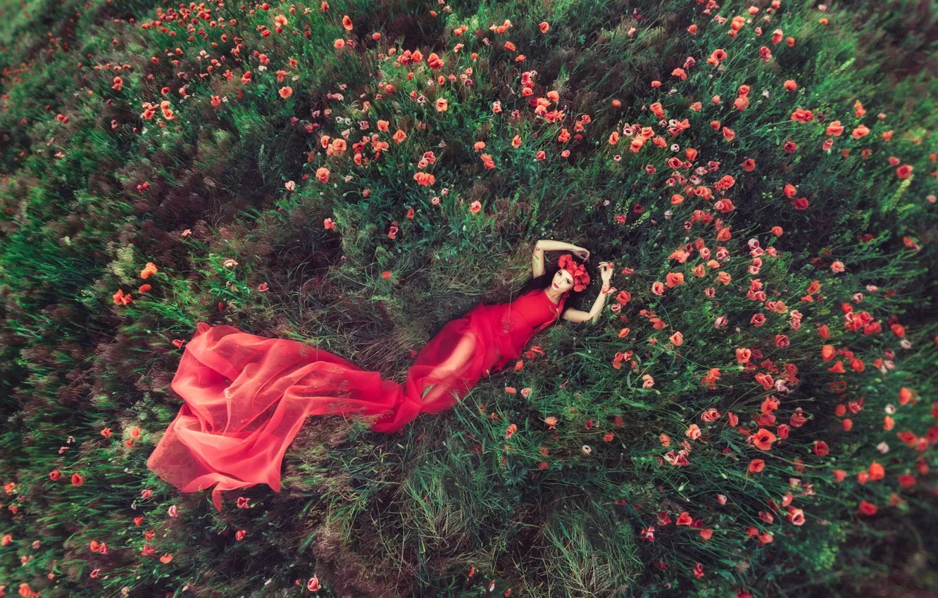 Photo wallpaper field, girl, flowers, Maki, dress in red