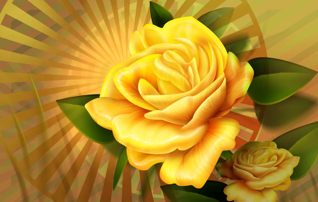 Photo wallpaper flower, leaves, rays, flowers, Two, flower, yellow