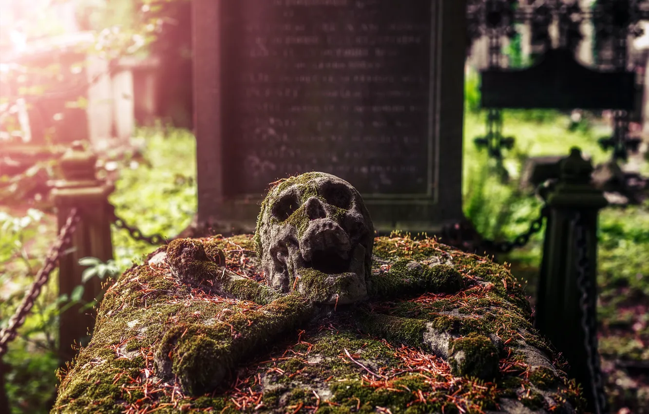 Photo wallpaper skull, cemetery, grave