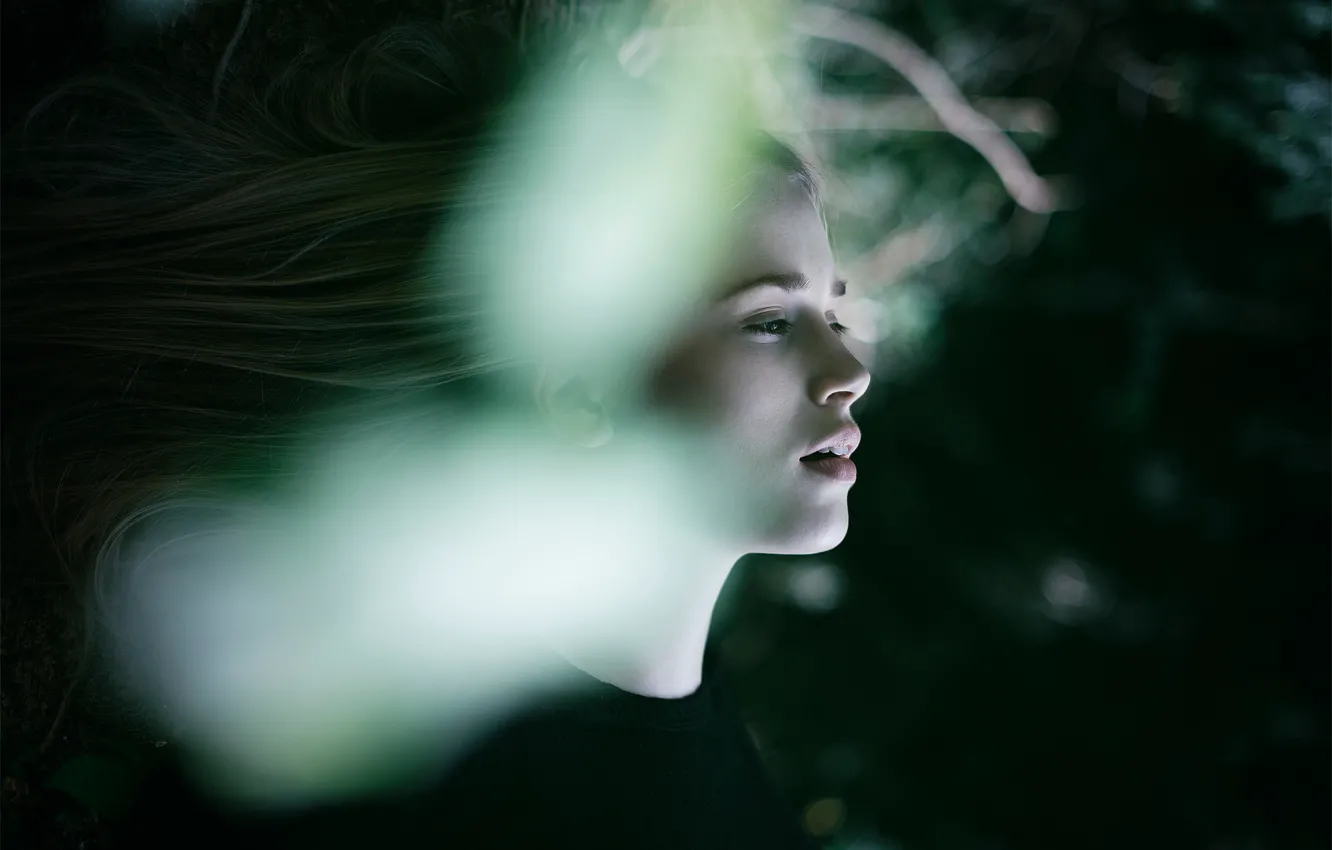 Photo wallpaper girl, glare, hair, profile, The Art Of Letting Go