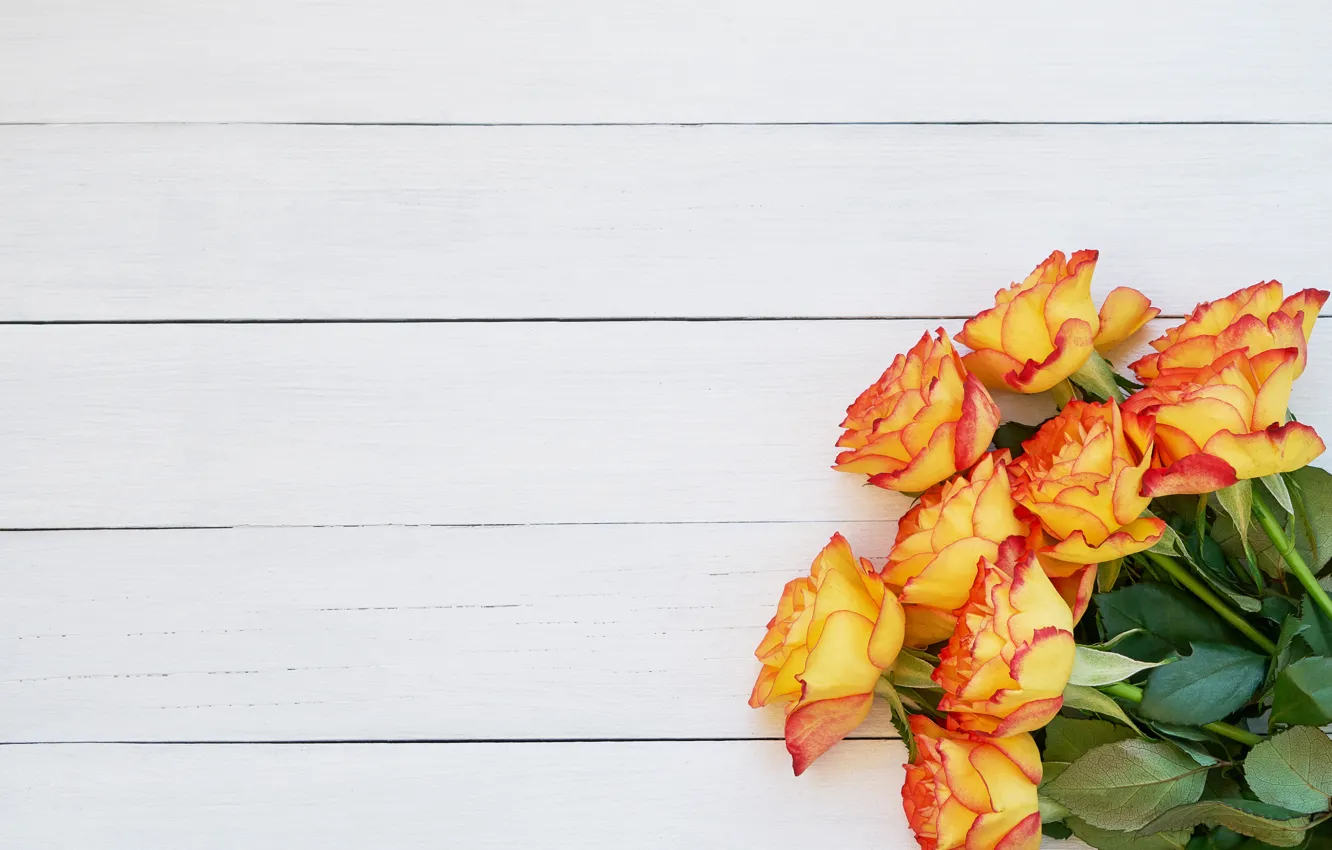 Photo wallpaper yellow, roses, bouquet, LAIMDOTA GRIVANE