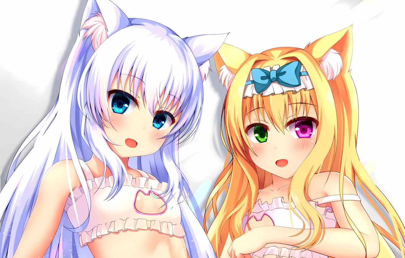 Photo wallpaper sexy, lingerie, bra, cleavage, long hair, girls, boobs, animal ears