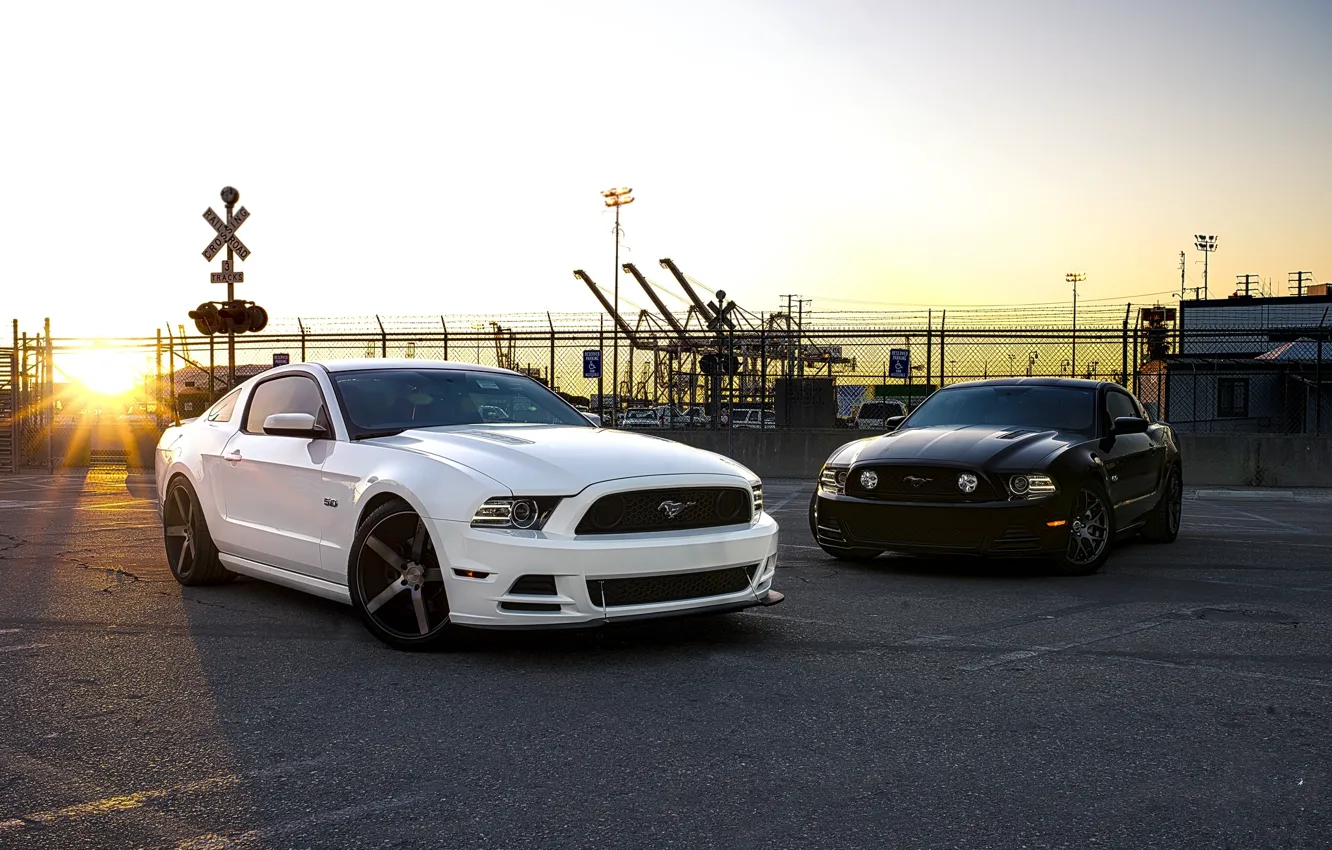 Photo wallpaper white, sunset, black, mustang, Mustang, the fence, white, ford