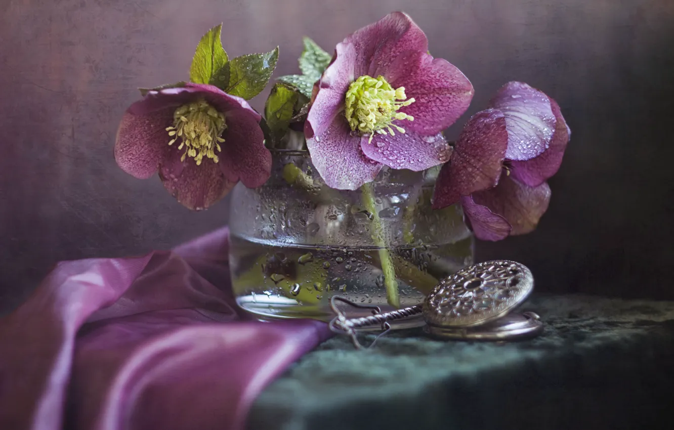 Photo wallpaper drops, bouquet, hellebore