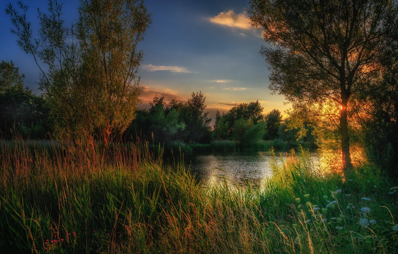 Photo wallpaper landscape, nature, lake, dawn, beauty, morning