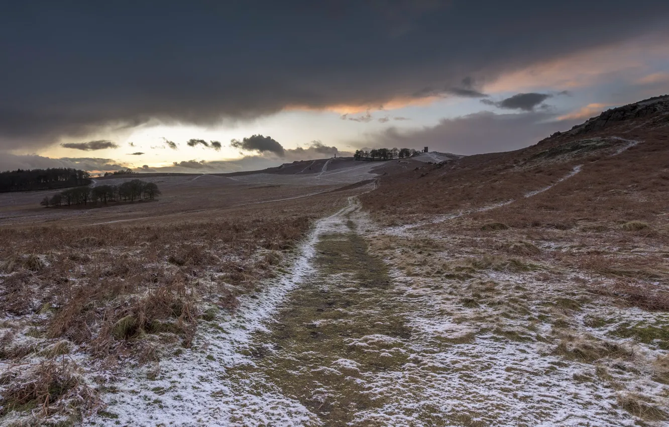 Photo wallpaper winter, field, the evening