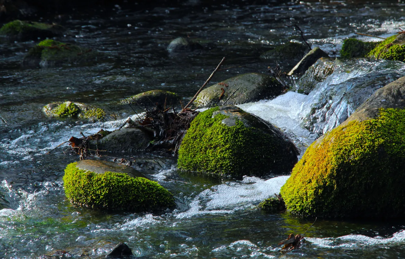 Photo wallpaper river, water, stones, moss