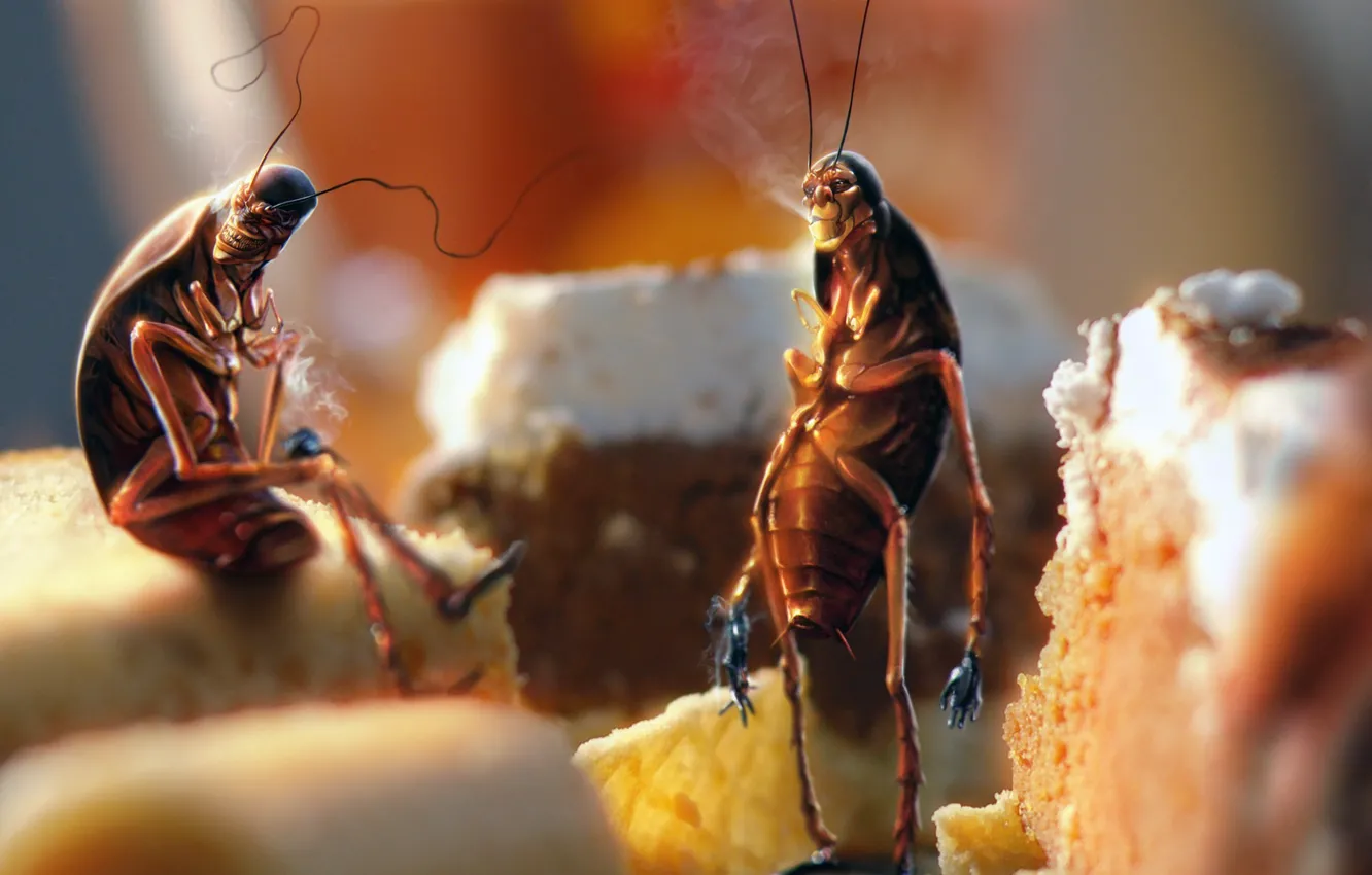 Photo wallpaper cockroach, bread, Easter, kitchen