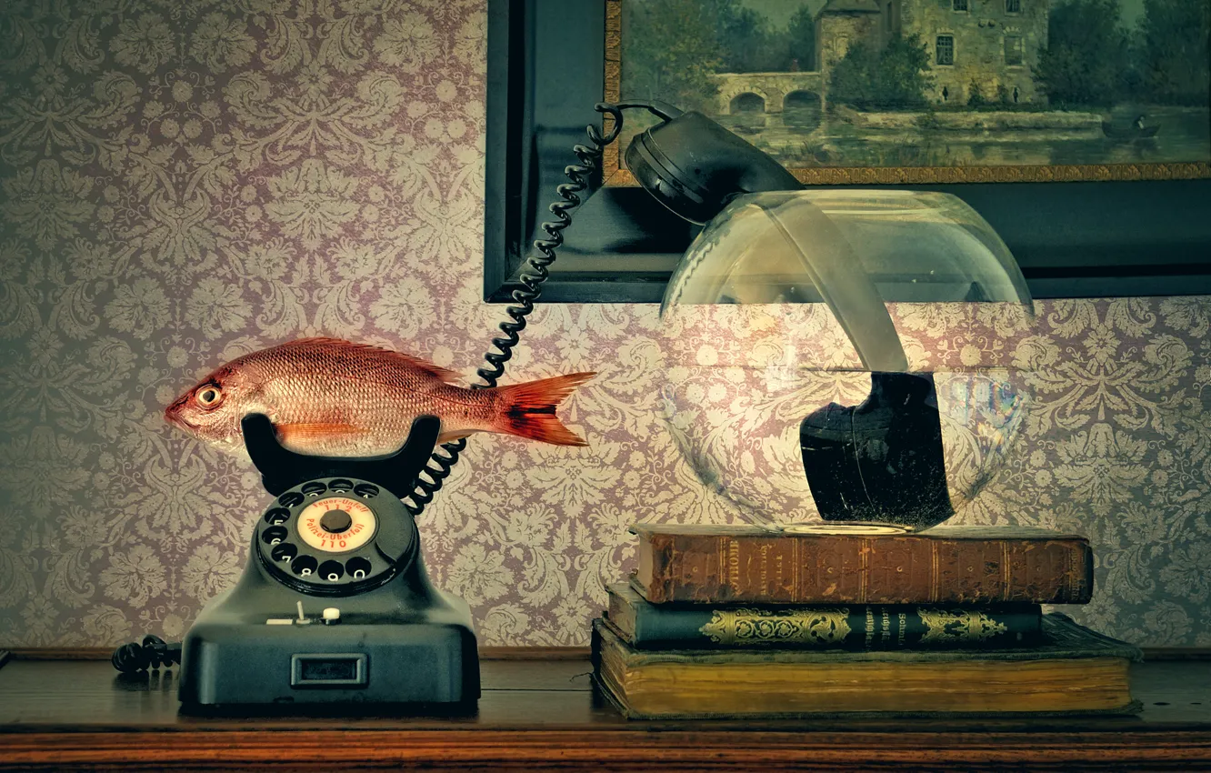 Photo wallpaper aquarium, tube, fish, phone