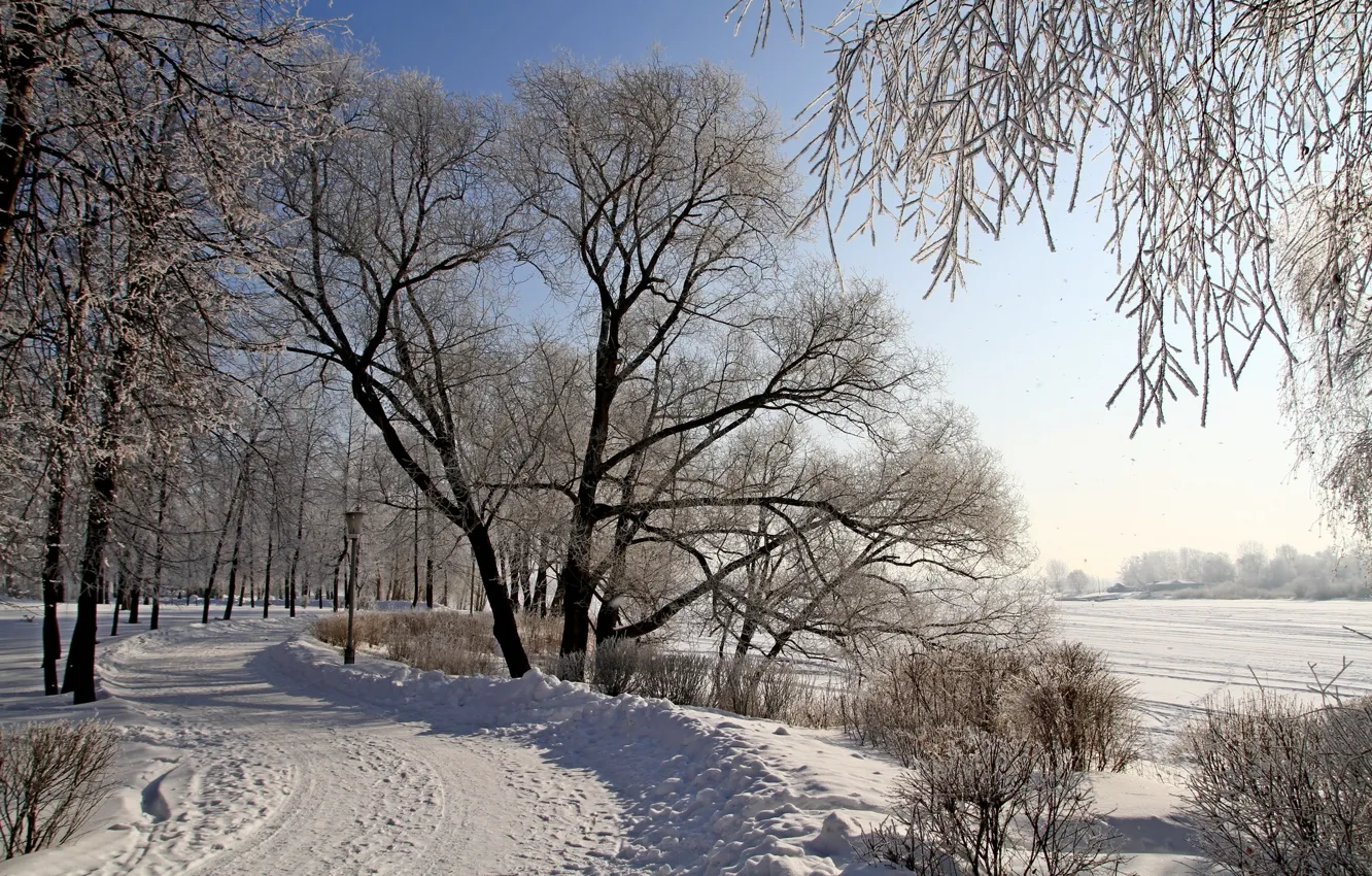 Photo wallpaper winter, road, snow, trees, nature, photo