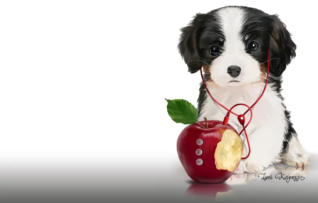 Photo wallpaper music, apples, headphones, art, player, puppy, children's. Lorri Kajenna