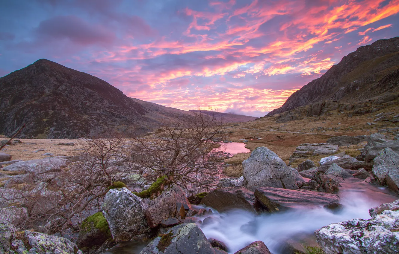 Photo wallpaper the sky, clouds, trees, mountains, river, stream, stones, Wales