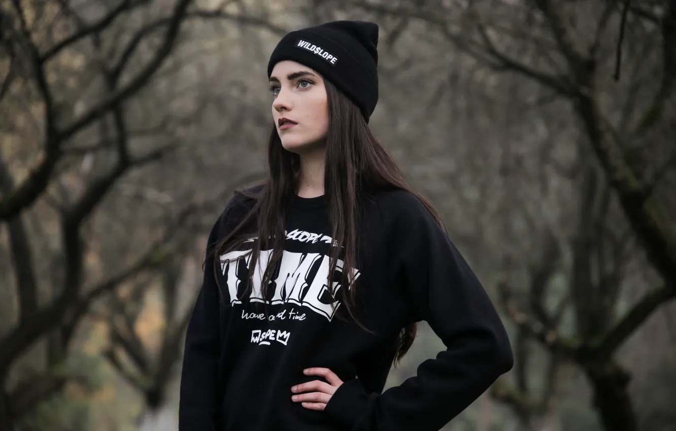 Photo wallpaper autumn, look, trees, calm, trees, calm, autumn, look